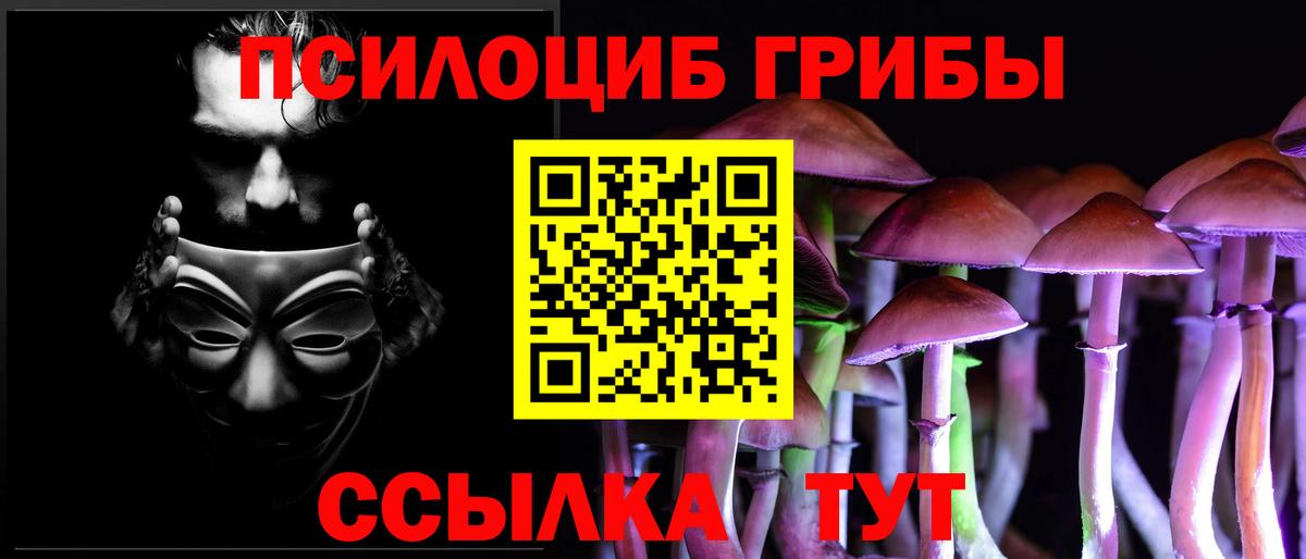 Псилоцибиновые грибы прущие грибы Павловский Посад